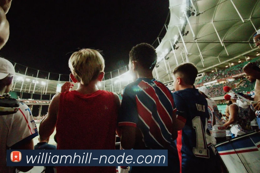 威廉希尔APP 封面图